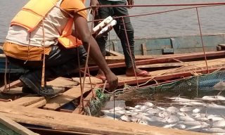 Minagri Intervenes to Stop Heavy Loss Among Rwamagana’s Fish Farmers