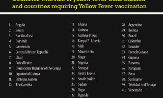 Rwanda Takes Deterrent Measures after Yellow Fever Outbreak In the Region