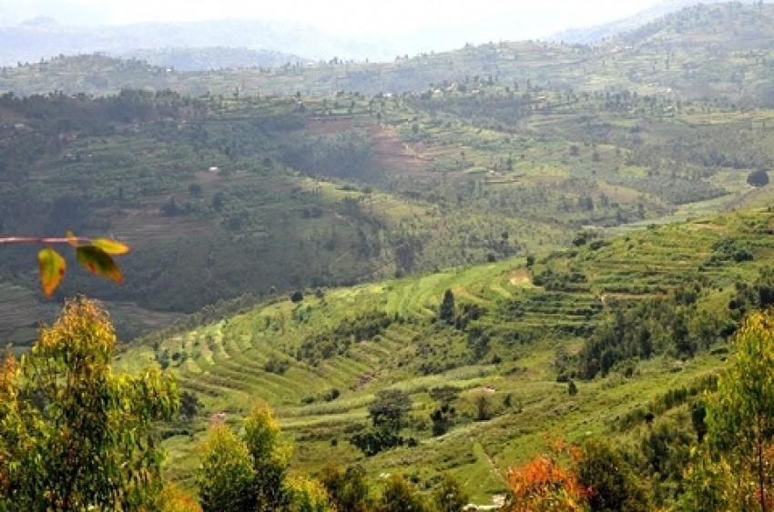 Terracing is nowadays a common land management practice in Nyamagabe. This has helped in controlling soil erosion and subsequently raised crop production.