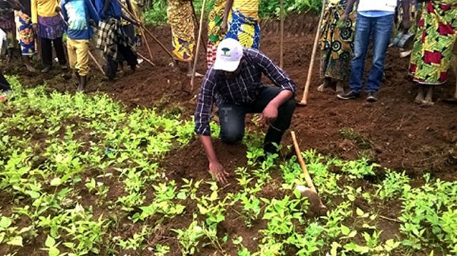A public official planting a Tree in Nyamagabe district during Umuganda, a monthly community exercise