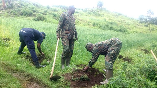 Rwandans Plant 30 million Trees To Save Environment