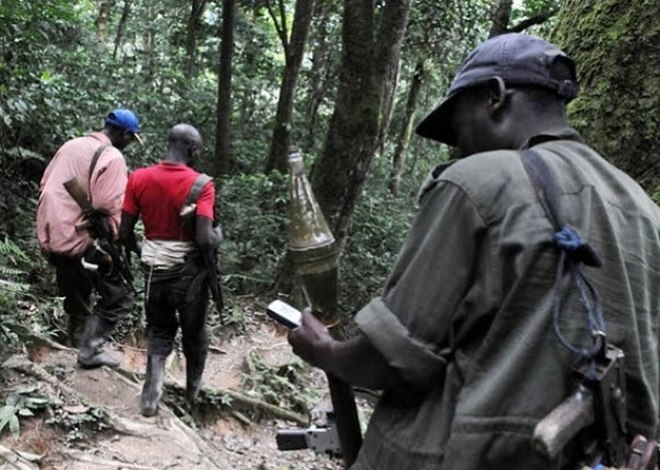 200 FDLR Rebels Blocked From Leaving DR Congo Camp