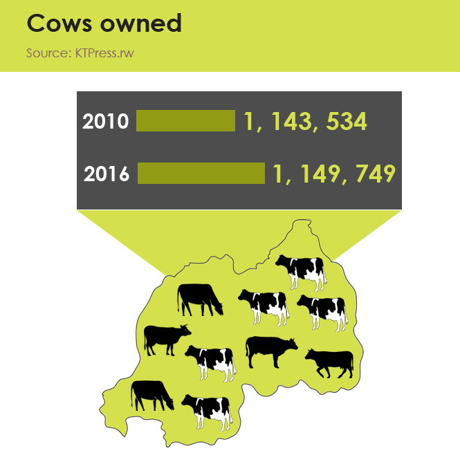 19-Cows-owned