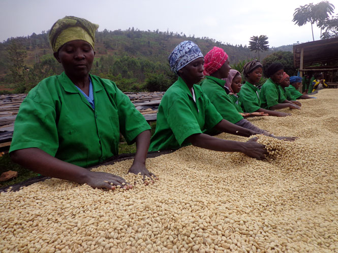 US main import from Rwanda is coffee