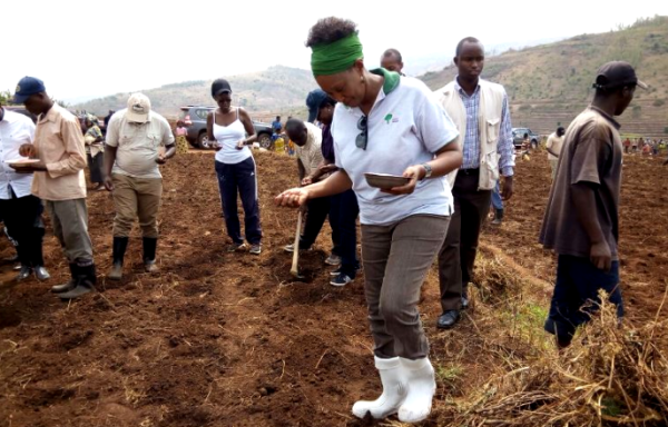Rwandans begin Planting season