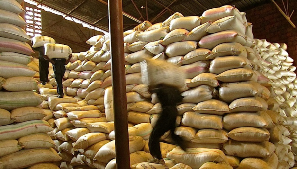 Men loading Coffee bags in store