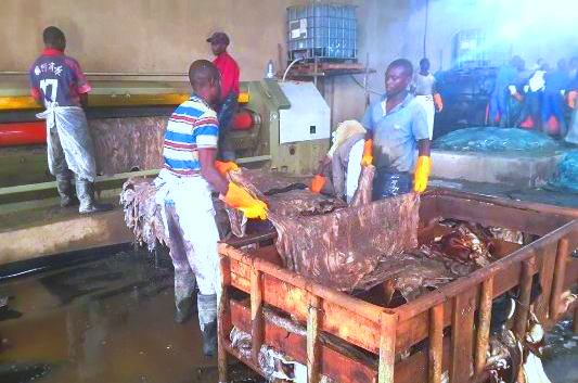 Workers at the Kigali Leather Ltd factory 