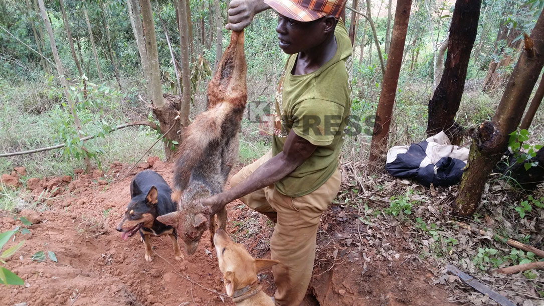 A day in The Life of Rwandan Hunters