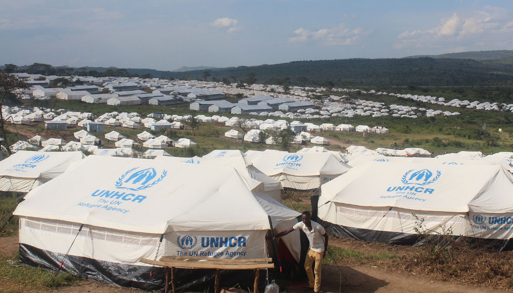 Why Is UNHCR Emblem Being Forged?