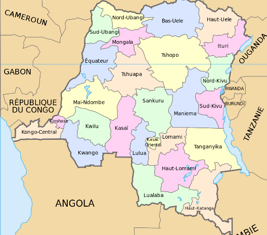 Rwanda-DRC: Why Balkanisation Talk is Dangerous to Peaceful Co-existence