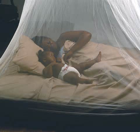 EAC Launches Malaria Initiative with $29.2M SC Johnson Funding