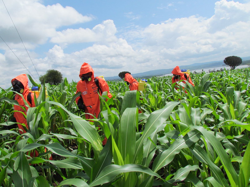 Hinga Weze Injects Rwf 2.5Bn in Farmers’ Financing