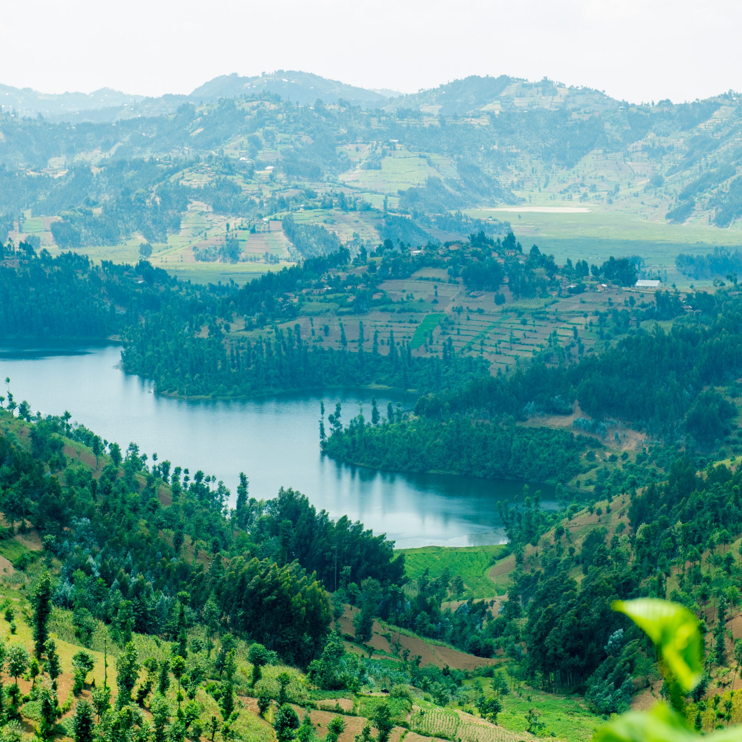 Rwanda Sets Ambitious Reforestation Targets
