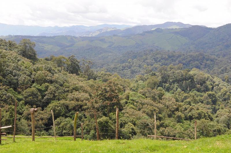 Rwanda’s Gishwati-Mukura Landscape Becomes UNESCO’s Biosphere Reserve