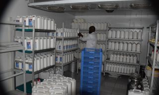 One Year Later: Burera Dairy Recovering From Shock – Burera Officials