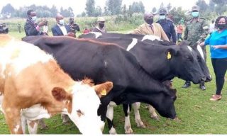 Kagame Supports A Citizen Who Lost Cows from Criminals’ Attack