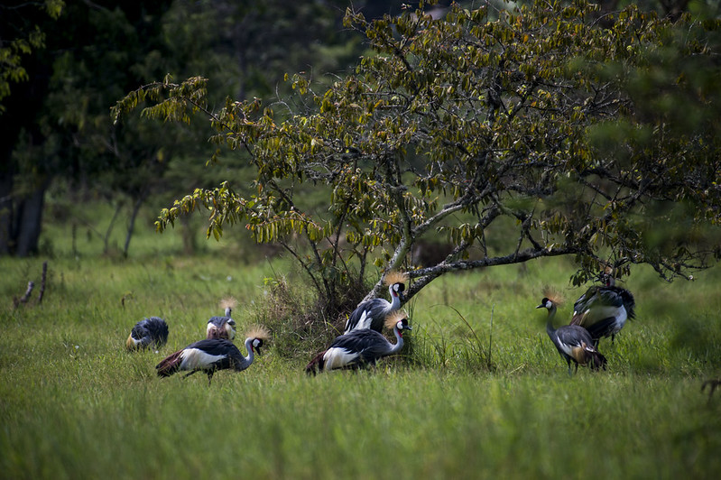 travelling alone rwanda