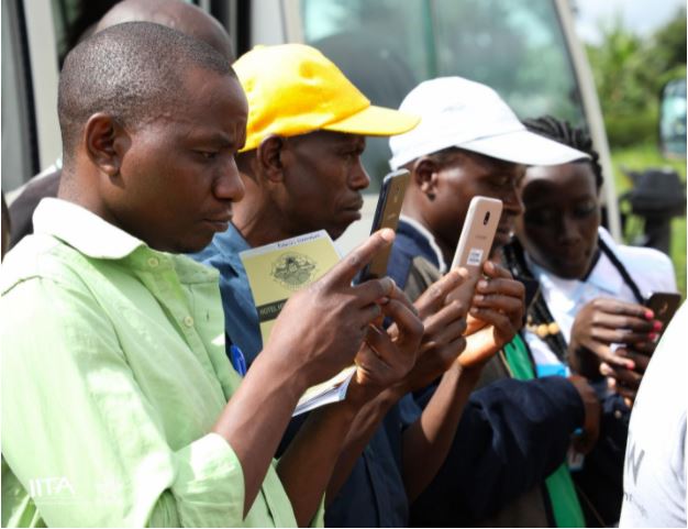 Rwanda: Digital Tool to Control A Major Banana Disease Is Here
