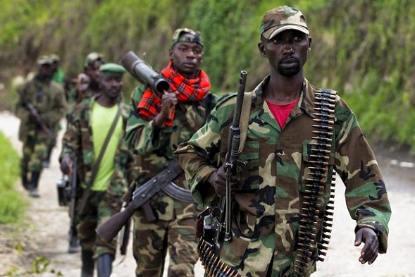 L'EAC C'EST QUOI DONC CE MACHIN QUI NE SERT PRESQU'A RIEN AU CONGO ? FDLR1