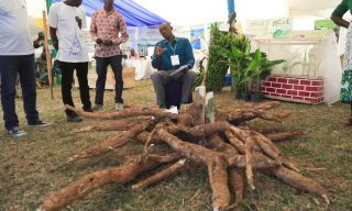 Rwanda’s Resilient Farmers Return to Agri Show with Hope  