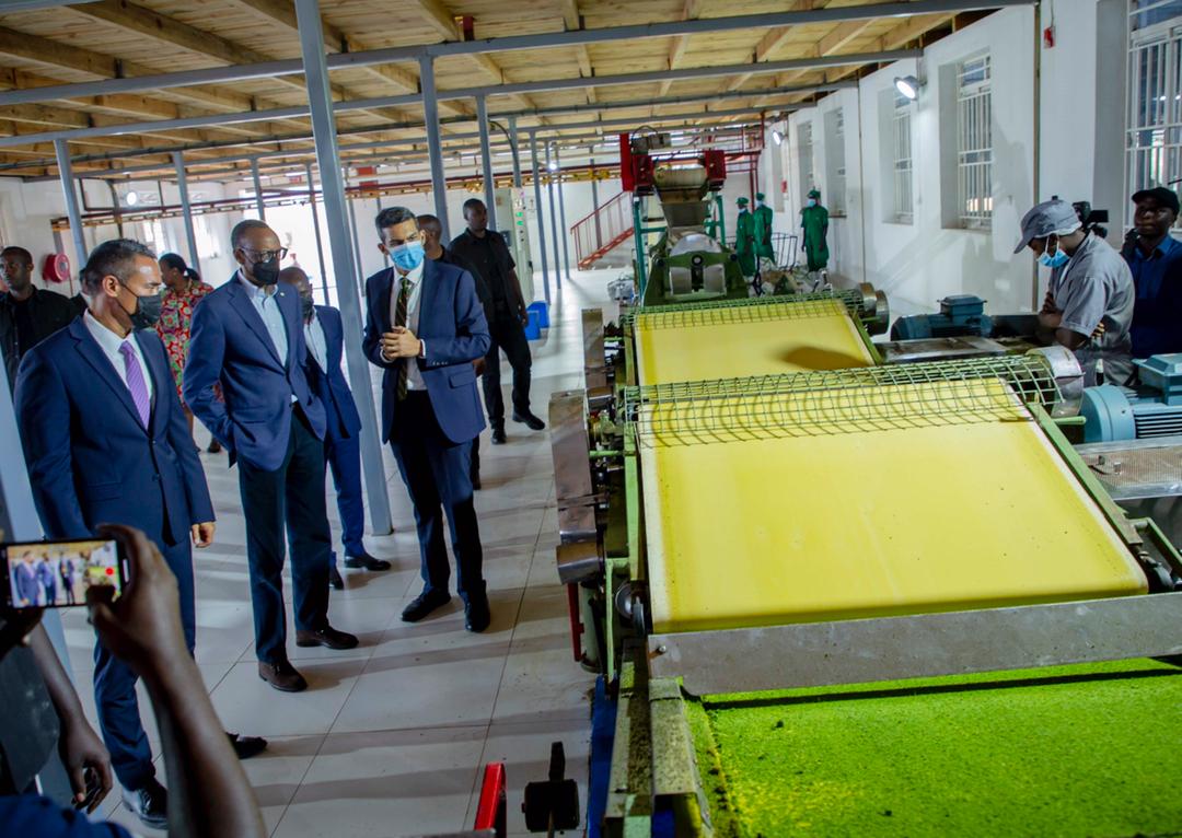 President Kagame Urges Karongi Residents to Grow More Tea To Meet Global Demand
