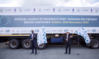 Rwanda Launches Avocado Sea Freight Shipment to Dubai 
