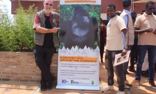 Certified Gorilla Friendly Program to Improve Conservation Tourism