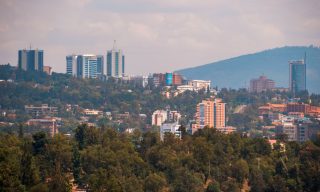 Cutting A Tree In Kigali: Impossible, Unless Lord Mayor Permits
