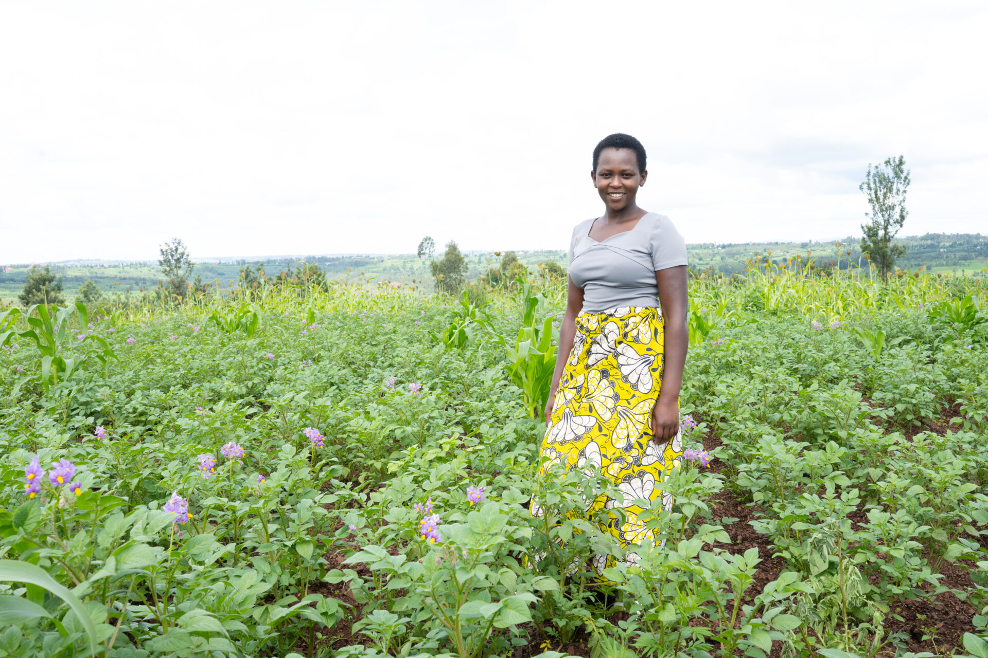 Why Youth Should be Leading Agriculture in Rwanda - KT PRESS