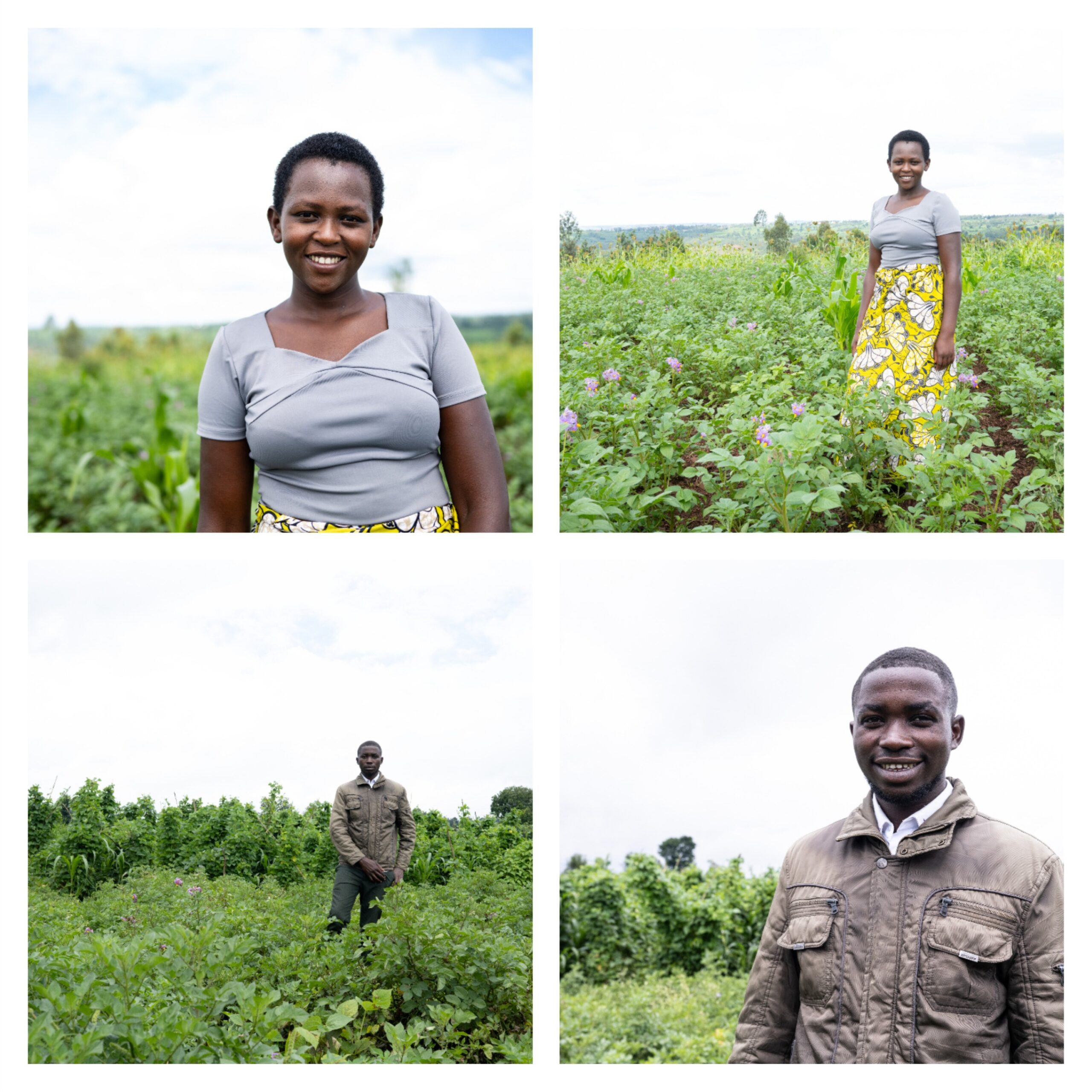 Why Youth Should be Leading Agriculture in Rwanda - KT PRESS