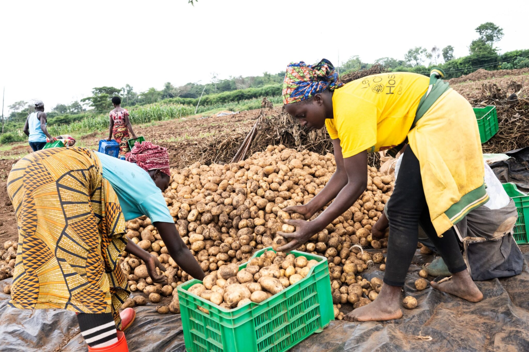 FEATURED - How One Acre Fund Rwanda Helped Over One Million Farmers ...