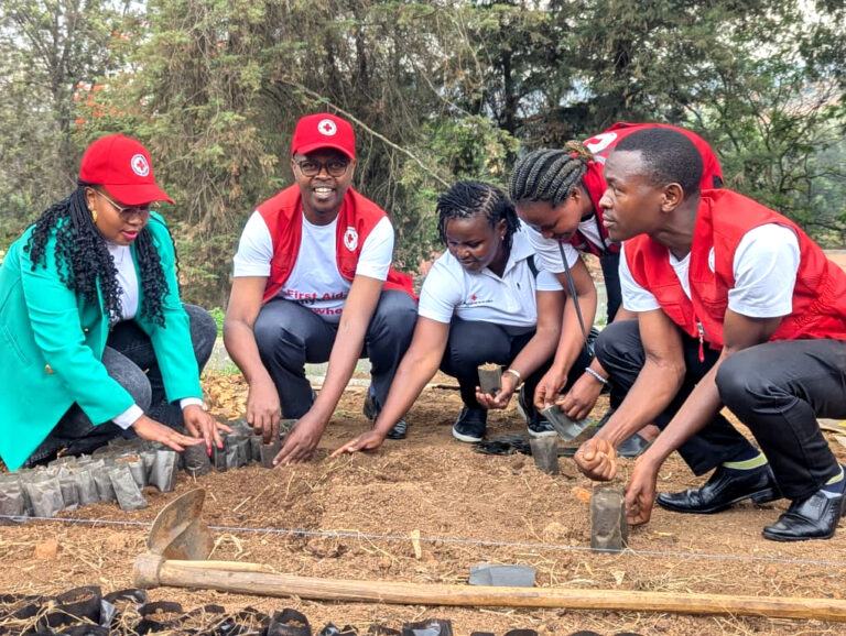 Rwanda Red Cross Youth Mark World First Aid Day 2025 with Tree Planting ...