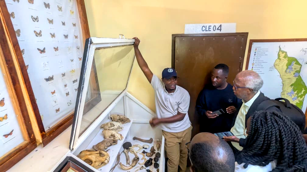 Butterflies Help Akagera Park Understand Climate Changes