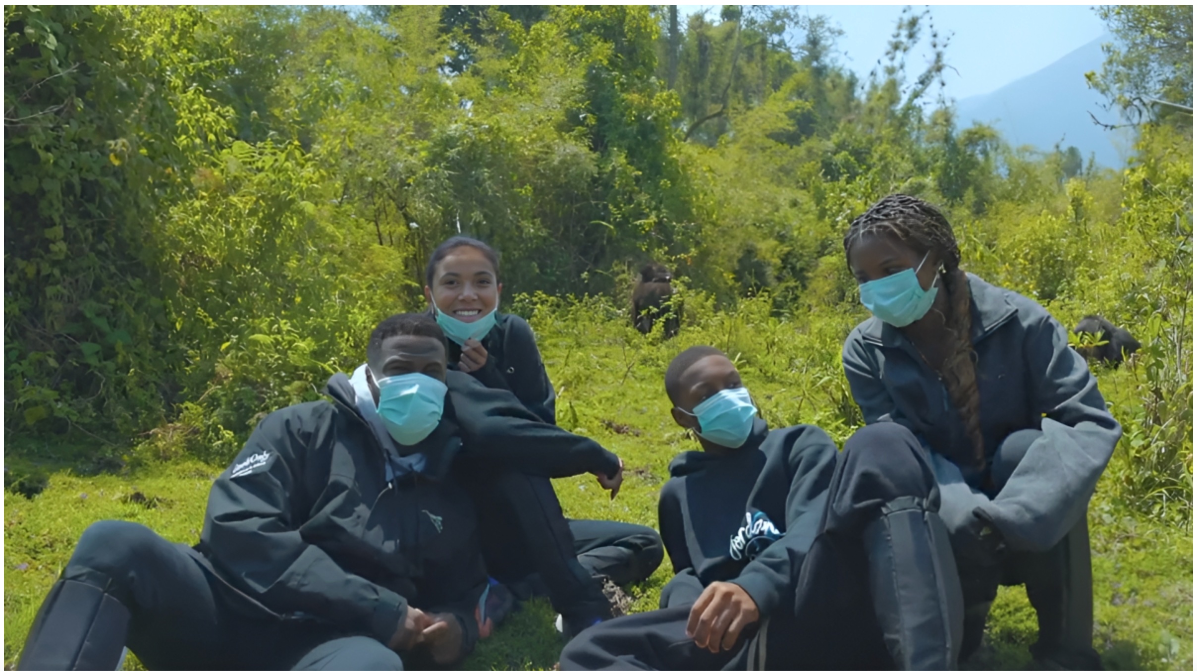 Rwanda Floats Promotional Gorilla Trekking Rates Into 2026