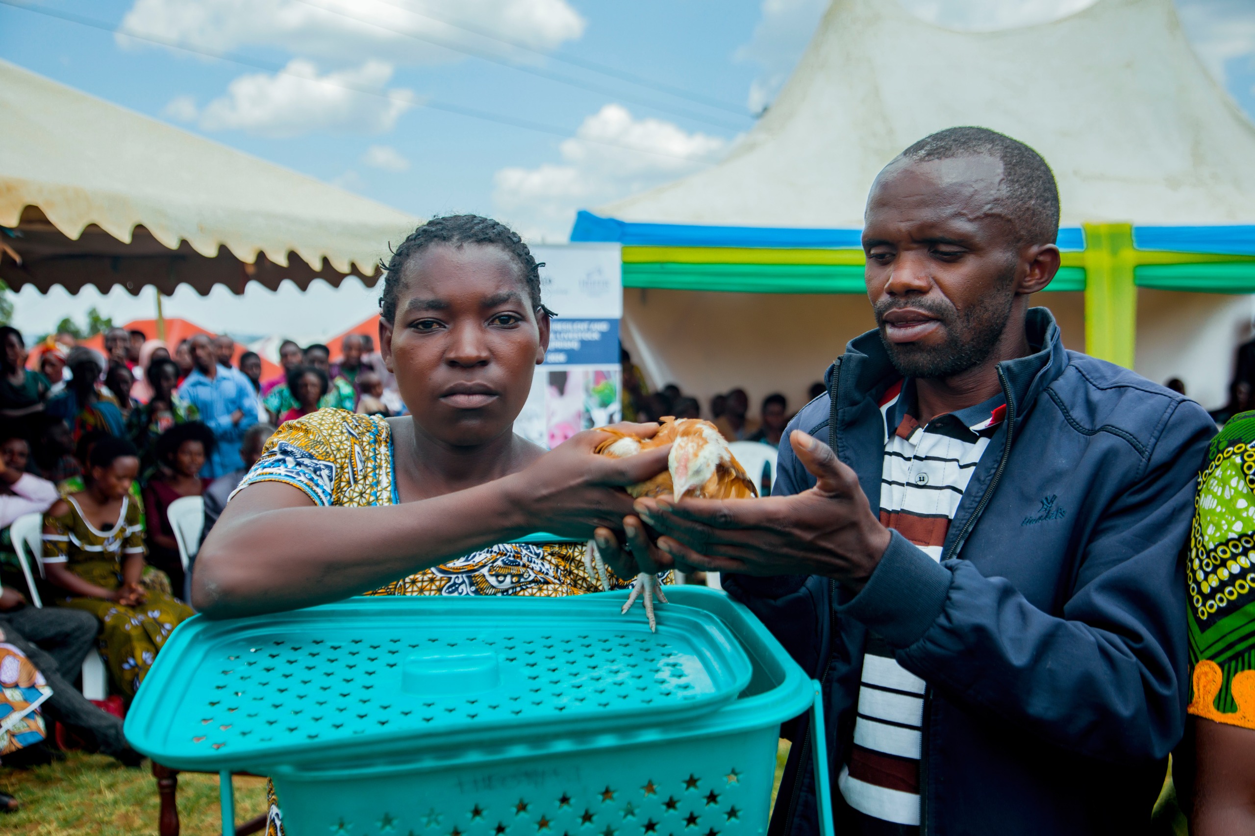 Passing on the Gifts Culture Transforming Small Livestock Farming in Rwanda